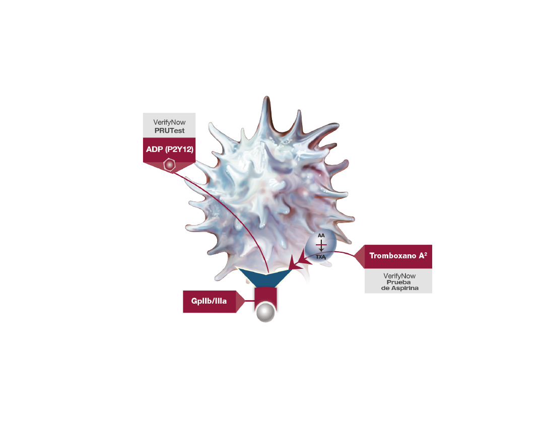 Diagrama platelet ESP