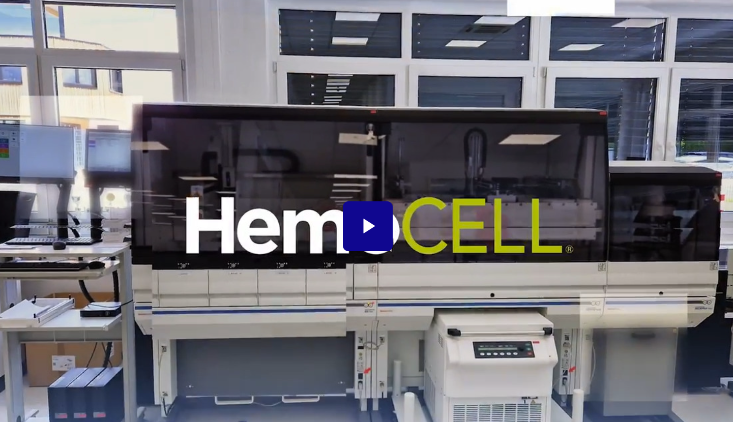 HemoCell Video
