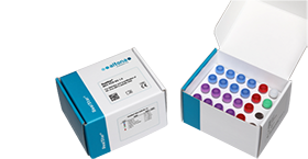 Altona RealStar® BKV PCR Kits CE