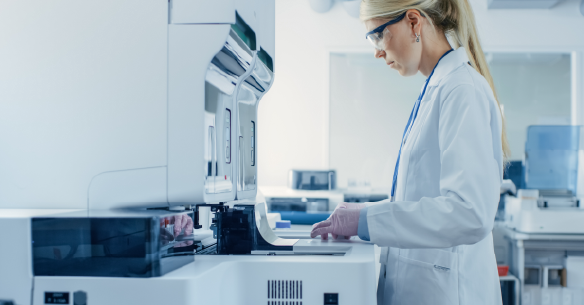 IMAGE ASTELIA WERFEN DETAIL 