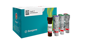 Anyplex HPV HR screening