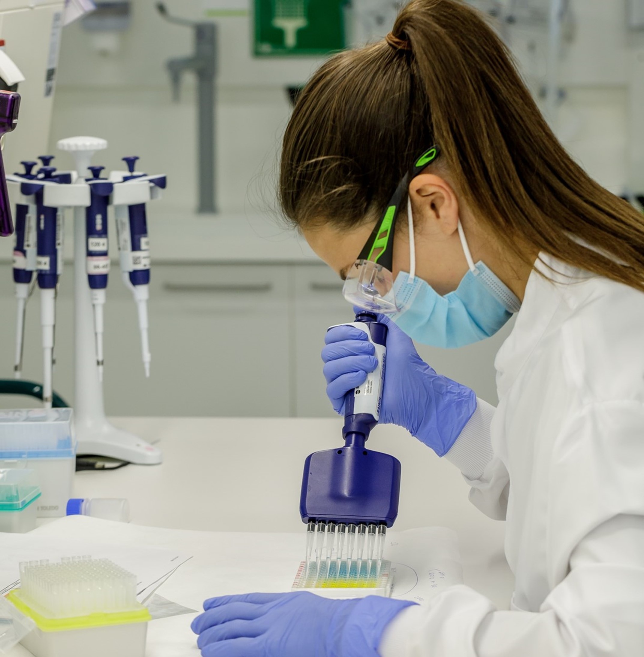 renin mabs R&D samples