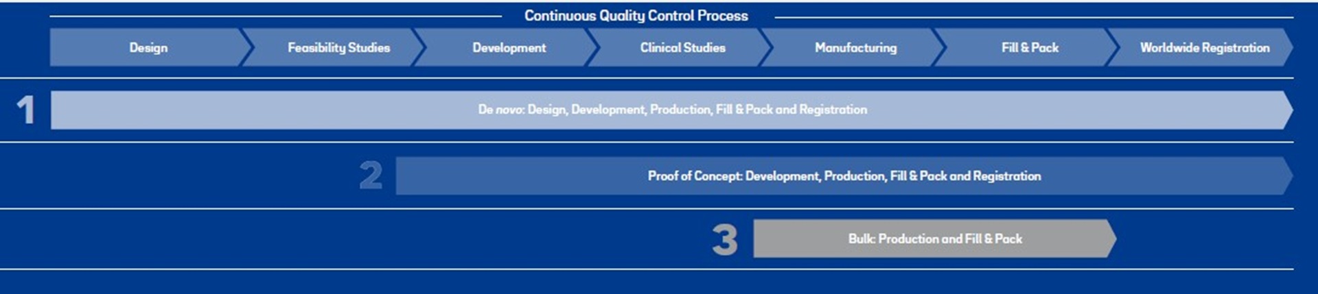 Immunoassay Phases