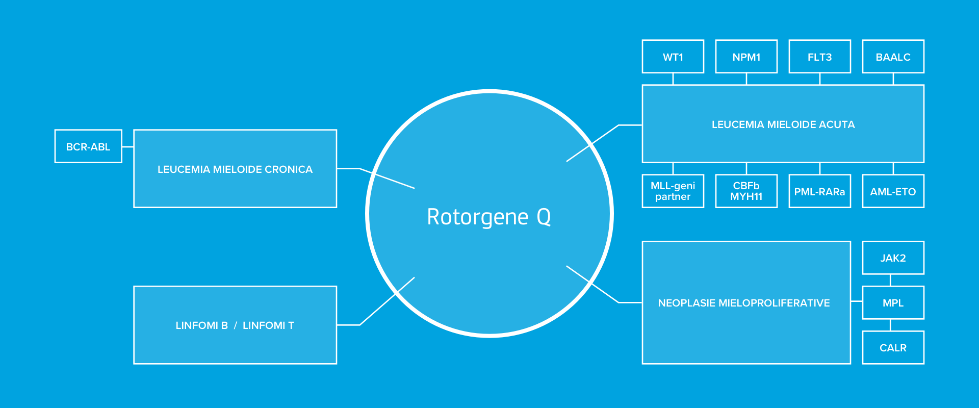 Rotorgene Diagram