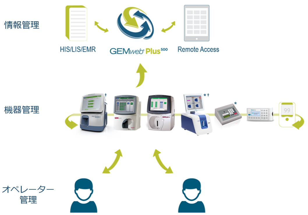 GEM Web Diagram