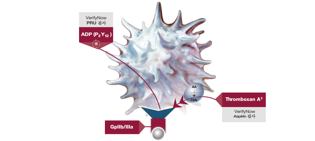 Activated Platelet - Specific Drug-Receptor Site Activation