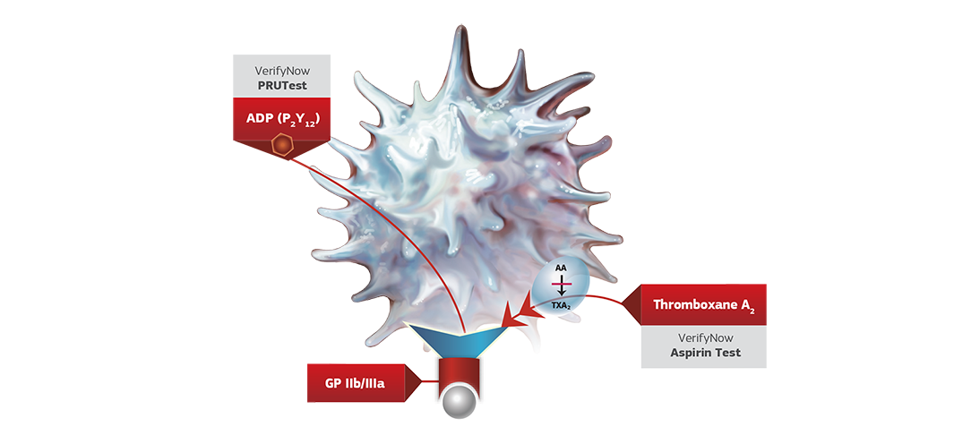 Activated Platelet - Specific Drug-Receptor Site Activation